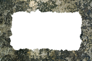 Border Frames with Dried Moss Residue on Concrete with Torn Rough Edges on Transparent Background.
