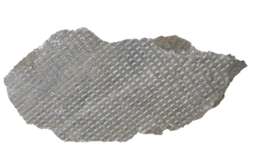 Broken Ceramic Pieces with Rough Edges