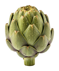 Obraz premium Harvesting fresh artichokes culinary delight kitchen nature isolated on transparent background