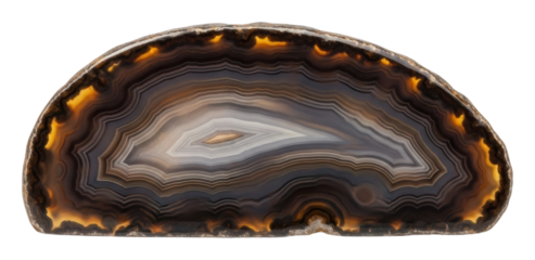 Geological display of cut agate stone natural history exhibit isolated on transparent background