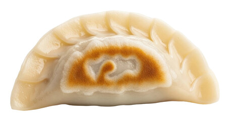 Delicious dumpling preparation kitchen food home isolated on transparent background