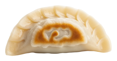 Delicious dumpling preparation kitchen food home isolated on transparent background