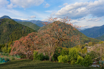 のどかな山村の風景 © kohta65
