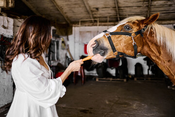 Woman feeding carrot to saddled chestnut horse inside rustic stable interior