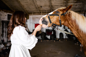 Woman feeding carrot to saddled chestnut horse inside rustic stable interior