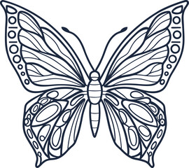 intricate line art butterfly with detailed symmetrical wing patterns for design and decoration