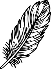 Fototapeta premium detailed black and white feather illustration with fine line art and texture