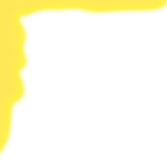 Golden Shadow Wave Border