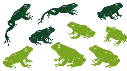 Fototapeta premium A collection of stylized green frog illustrations in various poses, showcasing their unique anatomy and agility.