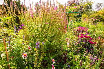Monet garden in Giverny, France