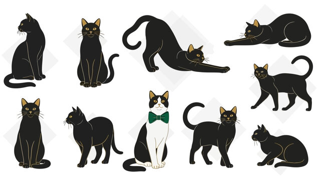 A collection of diverse illustrations of black cats in various poses, showcasing their elegant forms and distinct personalities.