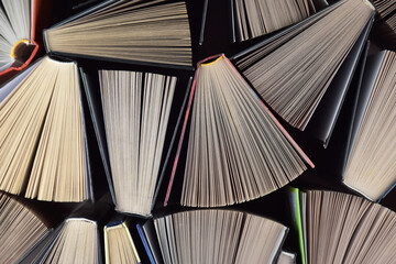 Lots of books. Educational theme. Learning concept