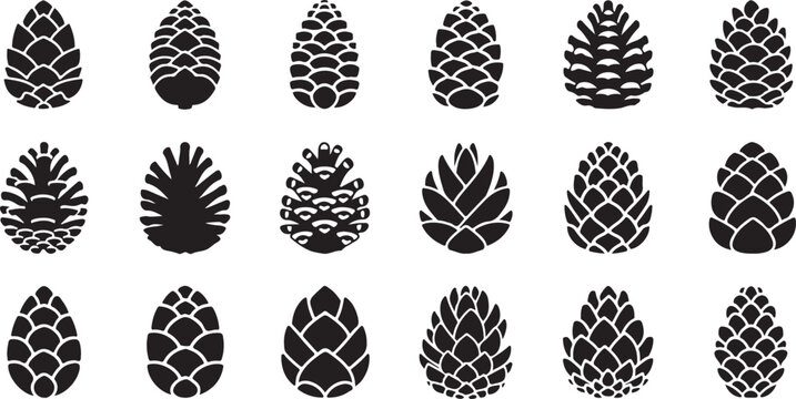 Pine cone icon. Set of black pine cone icon white background. Vector illustration eps