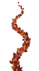 Autumn leaves in red and orange hues arranged in a wavy line against a white background, creating a natural, seasonal design ideal for fall-themed projects or decorations, offering free space for text