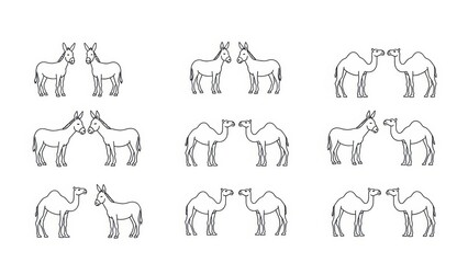 Donkey and Camel Pairings