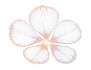 Golden transparent flower with glowing petals on transparent PNG clipart for design.