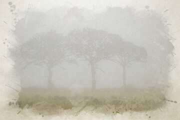 Digital watercolour painting of three trees in a line shrouded in a dense veil of mist and fog.