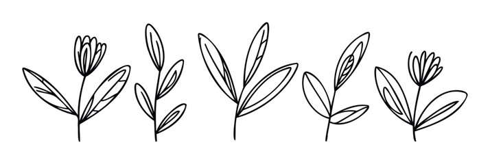 Minimalist hand drawn botanical outlines featuring various organic leaf and small flower designs ideal for decorative graphic assets, natural branding, eco friendly product packaging, or