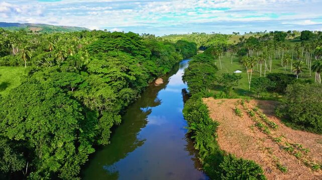 A forested stream with green trees and foliage on cliffs in a forested mountain. An idyllic tourist landscape, beautiful seasonal nature. The amazingly colorful river in the open air inspires nature.