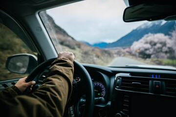 Driving car in the peach blooming spring tibet, China