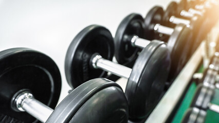 Weights line up on rack in gym for training and fitness workout session