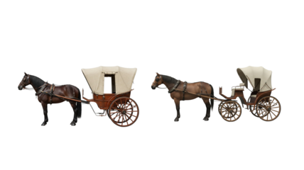 Horse Carriage