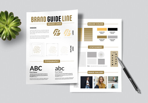 Brand Guideline Kit Design Professional Identity Template