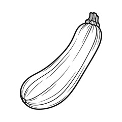 Outline drawing of a fresh organic zucchini, healthy garden food.