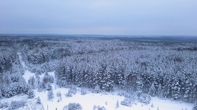 Drone ascends above historic bell tower revealing vast snowy forest horizon, delivering cinematic winter scenery for travel marketing, storytelling, and branding projects