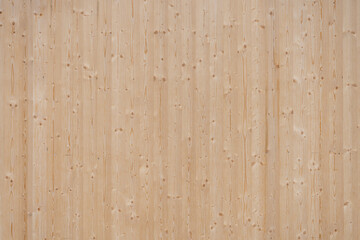 wood texture background	
