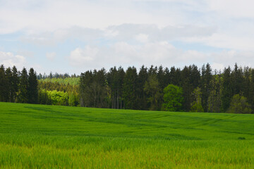 Fototapeta premium Landschaft, Feldlandschaft, Felder, Frühjahr
