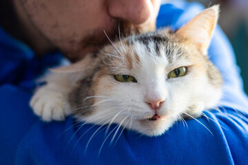Man with cute cat . Pets and humans friendship, love and trust concept