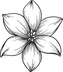 smooth rounded jasmine flower drawn as a minimal black vector outline with soft symmetrical contours