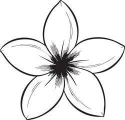 organic plumeria flower drawn as a soft black vector outline featuring smooth curved petals