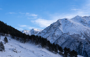 landscape with snowy mountains and forest