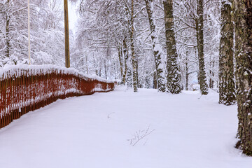 red fence and snow covered trees