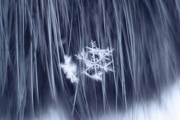 abstract macro snowflake on dark streak background