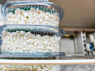 Stack of plastic containers with fresh cottage cheese on a shelf for sale in a supermarket or...