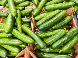 Fresh green cucumber vegetable in box on market. Healthy eating concept, natural food for vegan and...