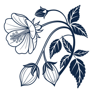 Abutilon Flowers with Bell Petals and Serrated Leaves