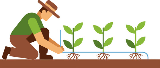 A farmer installs a drip irrigation system, showcasing efficient water management. Clear, bright illustration for agricultural themes. Perfect for educational or promotional materials.