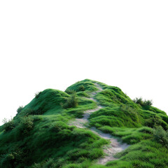 Grassy Hill with Winding Path isolated on a transparent background