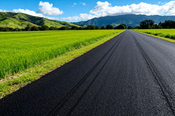 Fototapeta premium Asphalt Road Through Lush Green Fields and Mountains