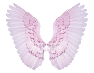Cupid Wings Isolated on Transparent Background