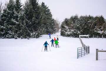 Cross-country skiers practicing hill techniques on a wide snow-covered trail through a winter forest on the Niagara Escarpment.