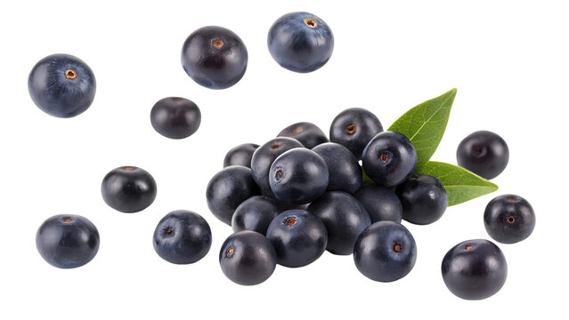 Açai Imagens – Procure 82,300 fotos, vetores e vídeos | Adobe Stock