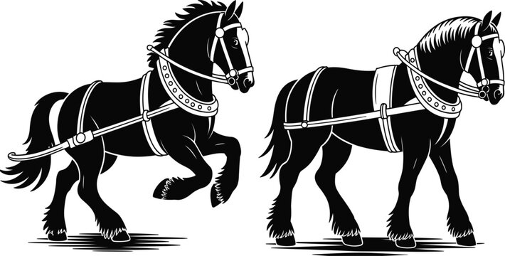 Black draft horse silhouette vector set, powerful farm workhorse outlines in harness for equestrian logo design