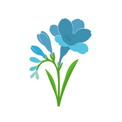 Blue flower on a white background.Hand drawn. Not AI, vector illustration