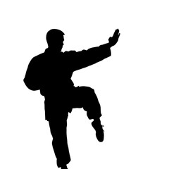 Silhouette of a man practicing martial arts, demonstrating a kick.