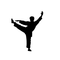 Silhouette of a martial artist in a dynamic pose.